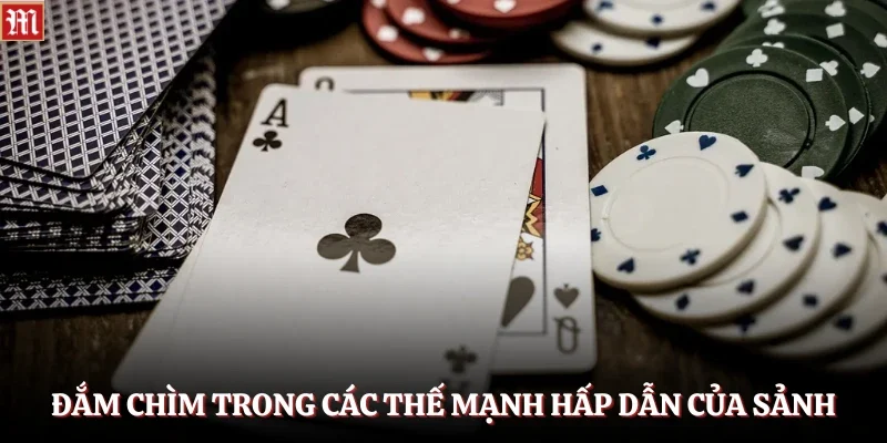 Đắm chìm trong các thế mạnh hấp dẫn của sảnh