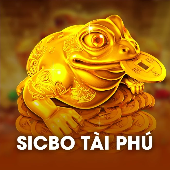 sibco tai phu
